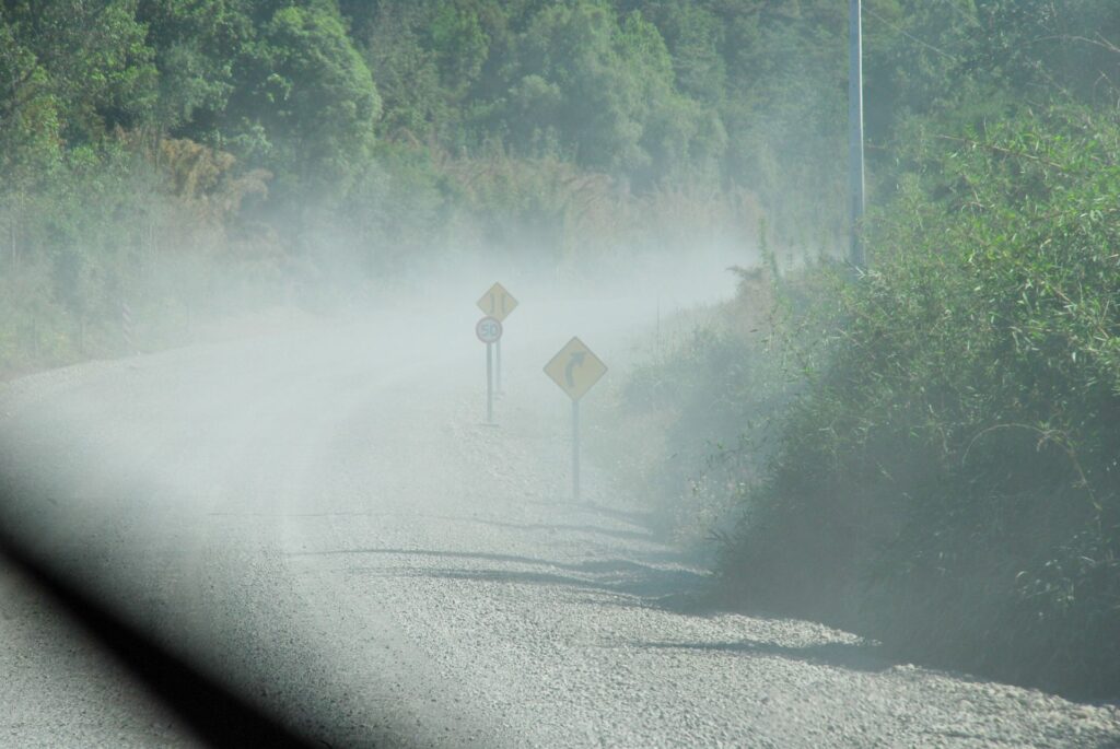 Road by trees foggy weather dust